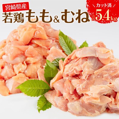宮崎県産 若鶏 もも・むね 切り身 小分けパック 合計5.4kg