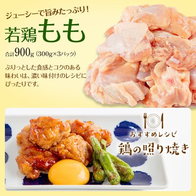 宮崎県産 若鶏 もも・むね 切り身 小分けパック 合計3.3kg
