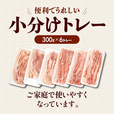 宮崎県産 豚バラスライス(300g×6) 計1.8kg