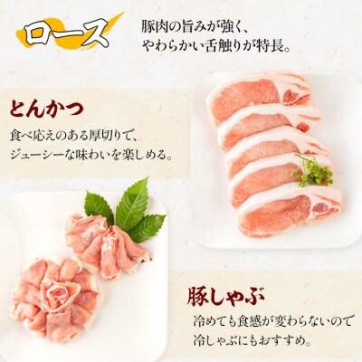 宮崎県産豚ローストンカツ5枚 豚ロースしゃぶ500g×1 豚ヒレトンカツ400g×1(宮崎市)