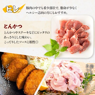 宮崎県産豚ローストンカツ5枚 豚ロースしゃぶ500g×1 豚ヒレトンカツ400g×1(宮崎市)