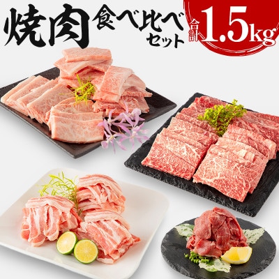 宮崎牛バラ・モモ焼肉 宮崎県産豚バラ焼肉 宮崎県産黒毛和牛こま切れセット 合計1.5kg(宮崎市)