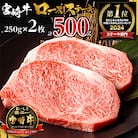 宮崎牛ロースステーキ 250g×2枚 計500g(宮崎市)　牛肉