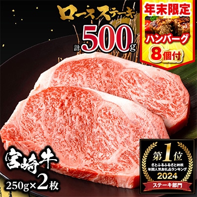 宮崎牛ロースステーキ 250g×2枚 計500g+国産牛ハンバーグ800g(100g×8個)牛肉