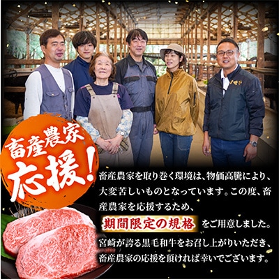 宮崎牛ロースステーキ 250g×2枚 計500g(宮崎市)　牛肉