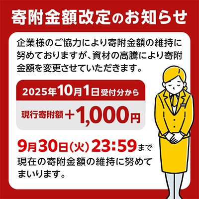 宮崎牛ロースステーキ 250g×2枚 計500g+ハンバーグ200g(宮崎市)　牛肉