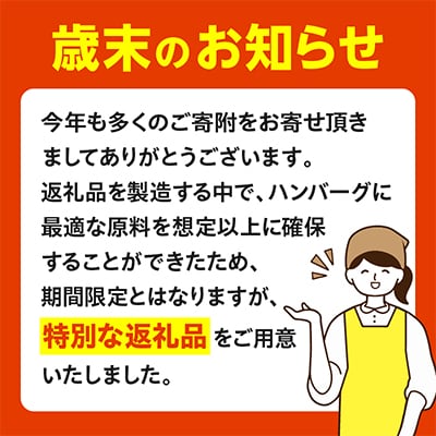 宮崎牛ロースステーキ 250g×2枚 計500g+国産牛ハンバーグ800g(100g×8個)牛肉