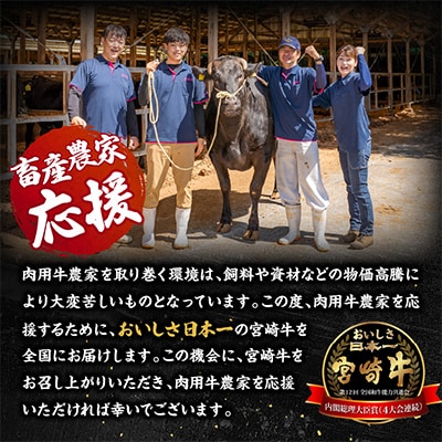 【畜産農家応援】宮崎牛ロースステーキ 250g×2枚 計500g