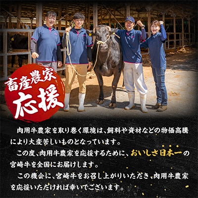 宮崎牛ロースステーキ 250g×2枚 計500g(宮崎市)　牛肉