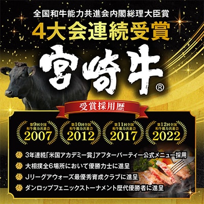 宮崎牛ロースステーキ 250g×2枚 計500g