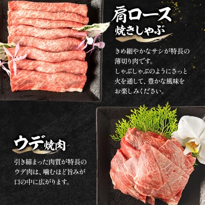 宮崎牛肩ロース 焼きしゃぶ300g ウデ 焼肉400g 合計700g(宮崎市)