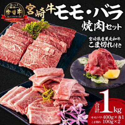 宮崎牛モモ・バラ焼肉 宮崎県産黒毛和牛こま切れ セット 合計1kg(宮崎市)