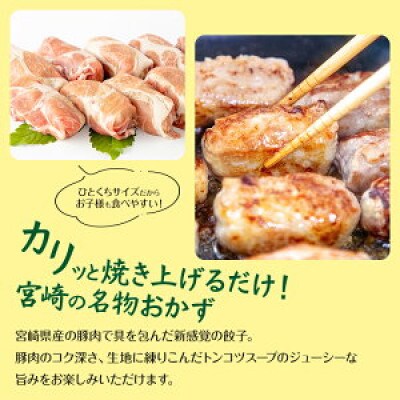 宮崎県産豚使用 肉巻餃子 20個入り(宮崎市)