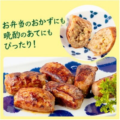宮崎県産豚使用 肉巻餃子 20個入り(宮崎市)