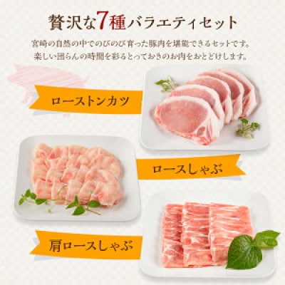 宮崎県産豚 バラエティセット 7種 合計3.7kg(宮崎市)