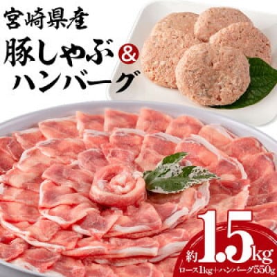 宮崎県産豚ロース1kg&チーズインハンバーグ5個 セット(宮崎市)