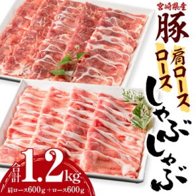 宮崎県産豚 肩ロース・ロース セット 各600g 計1.2kg(宮崎市)