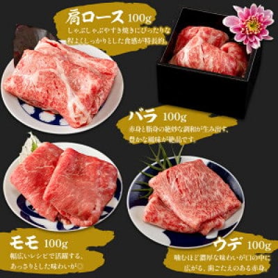 宮崎牛スライス 6種食べ比べセット 合計600g(宮崎市)