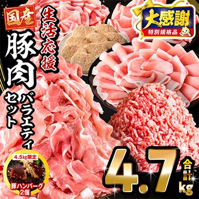 生活応援!!ロースいっぱい国産豚肉セット6種4.7kg(宮崎市)