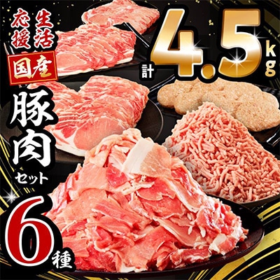 生活応援!!ロースいっぱい国産豚肉セット6種4.5kg(宮崎市)