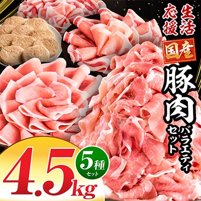 生活応援!!ロースいっぱい国産豚肉バラエティセット5種4.5kg(宮崎市)　