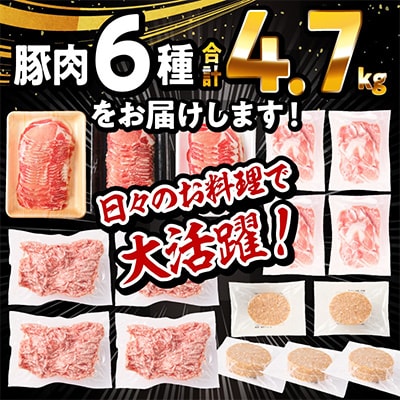 生活応援!!ロースいっぱい国産豚肉セット6種4.7kg(宮崎市)