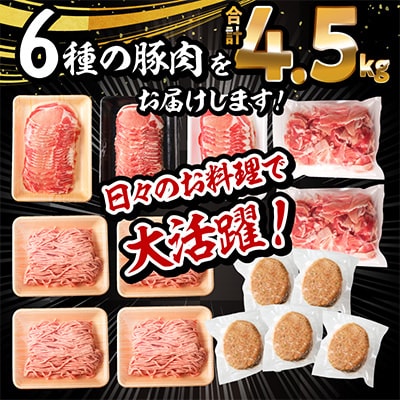 生活応援!!ロースいっぱい国産豚肉セット6種4.5kg(宮崎市)