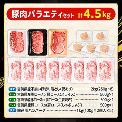 国産豚肉バラエティセット5種4.5kg(宮崎市)
