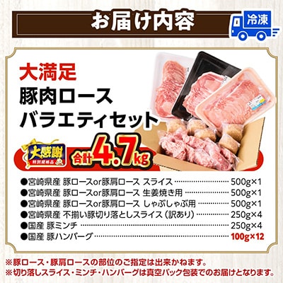 生活応援!!ロースいっぱい国産豚肉セット6種4.7kg(宮崎市)