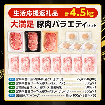 生活応援!!ロースいっぱい国産豚肉バラエティセット5種4.5kg(宮崎市)　