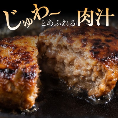 宮崎牛ペッパーハンバーグ 100g 10個入(宮崎市)