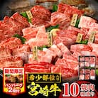 宮崎牛 焼肉 10種盛り合わせ 合計600g+ハンバーグ200g 希少部位 贈答用にも