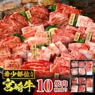 宮崎牛 焼肉 10種盛り合わせ 合計600g　希少部位 贈答用にも