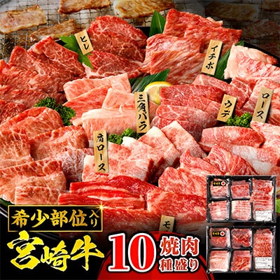 宮崎牛 焼肉 10種盛り合わせ 合計600g  希少部位  贈答用にも