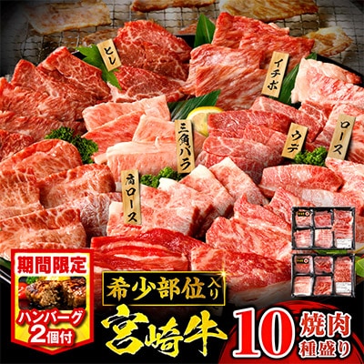 宮崎牛 焼肉 10種盛り合わせ 合計600g+ハンバーグ200g 希少部位 贈答用にも