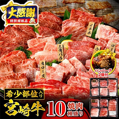宮崎牛 焼肉 10種盛り合わせ 合計600g+国産牛ハンバーグ100g×2個　希少部位 贈答用にも