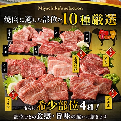 宮崎牛 焼肉 10種盛り合わせ 合計600g+ハンバーグ200g 希少部位 贈答用にも