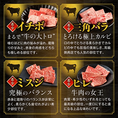 宮崎牛 焼肉 10種盛り合わせ 合計600g　希少部位 贈答用にも