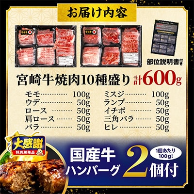 宮崎牛 焼肉 10種盛り合わせ 合計600g+国産牛ハンバーグ100g×2個　希少部位 贈答用にも