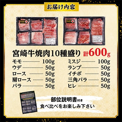 宮崎牛 焼肉 10種盛り合わせ 合計600g　希少部位 贈答用にも