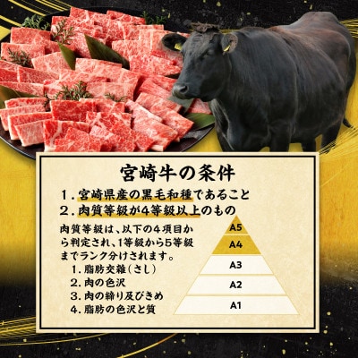 【年内配送】宮崎牛焼肉10種盛り合わせ(宮崎市)
