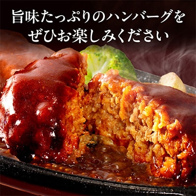 デミグラスハンバーグ 10個(宮崎市)
