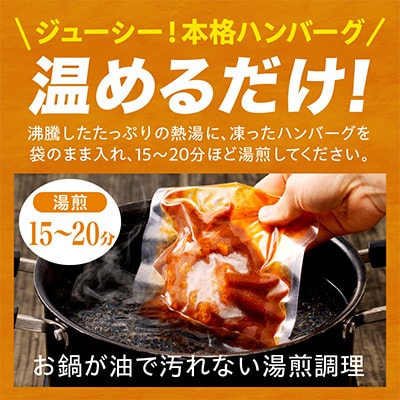 デミグラスハンバーグ 10個(宮崎市)