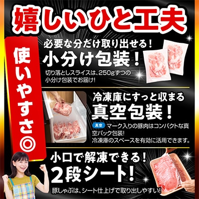 豚肉バラエティセット3.6kg(宮崎市)