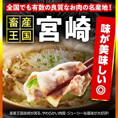 豚肉バラエティセット3.6kg(宮崎市)