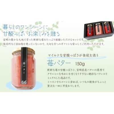 波乗り苺のギフトセット