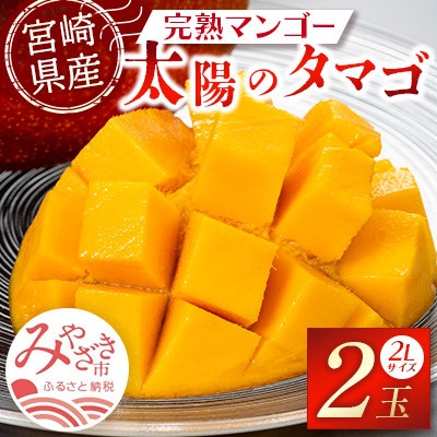 「宮崎自慢の特産品」宮崎県産完熟マンゴー　太陽のタマゴ　2L×2個