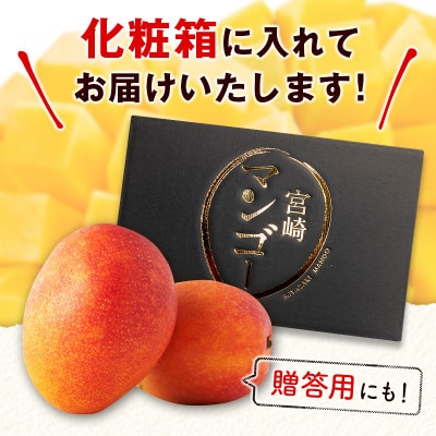 「宮崎自慢の特産品」宮崎県産完熟マンゴー　太陽のタマゴ　2L×2個