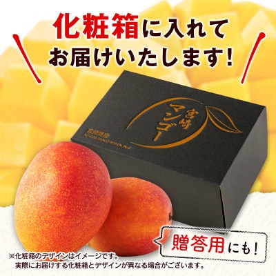 【ギフト・贈答】「宮崎自慢の特産品」宮崎県産完熟マンゴー 太陽のタマゴ 2L×2個