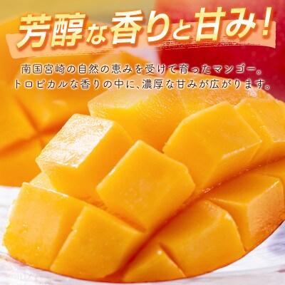 「宮崎自慢の特産品」宮崎県産完熟マンゴー　3L×2個(宮崎市)